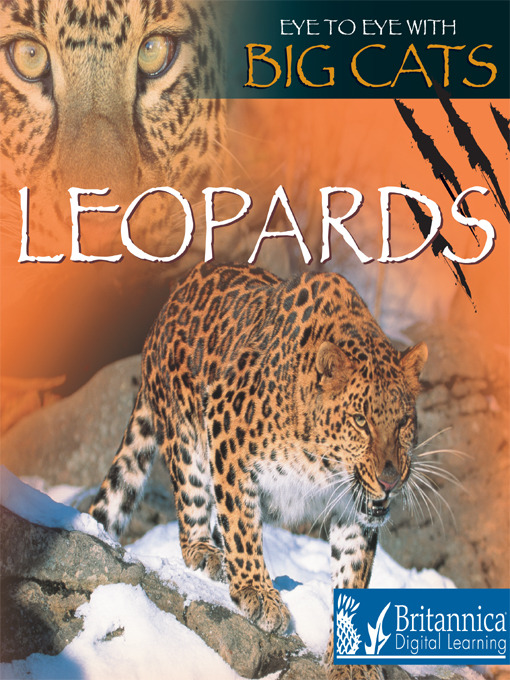 Jason Cooper创作的Leopards作品的详细信息 - 可供借阅